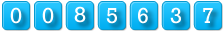 website counter code