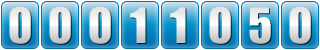 page counter