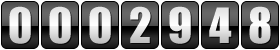 website counter